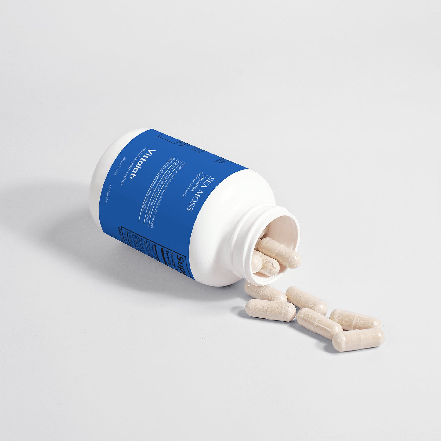 Sea Moss Orgánico – Inmunidad, Digestión y Energía