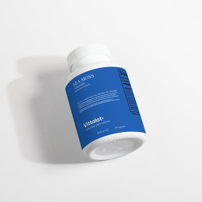 Sea Moss Orgánico – Inmunidad, Digestión y Energía