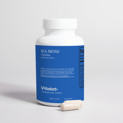 Sea Moss Orgánico – Inmunidad, Digestión y Energía