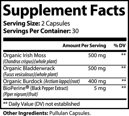 Sea Moss Orgánico – Inmunidad, Digestión y Energía